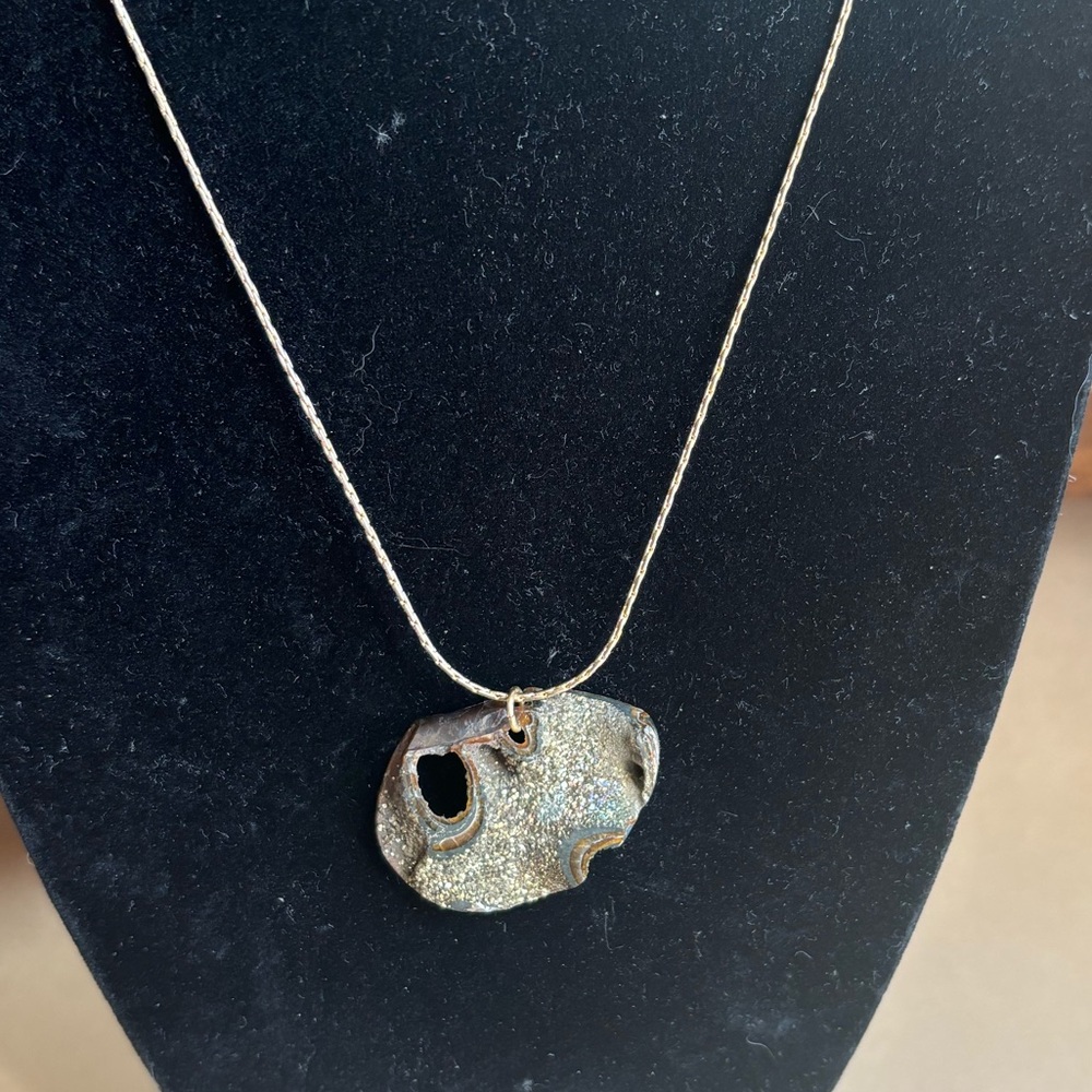 Pyrite fossil!
